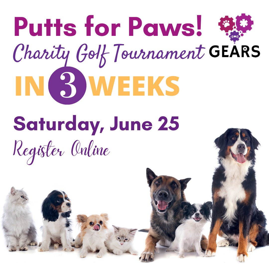 GEARescue's tweet photo. Putts for Paws!
$130 PP - June 25 at 9AM at the Edmonton Garrison Memorial Golf Club.
Continental breakfast, putting contests, meet GEARS alumni doggies before returning for BBQ Steak dinner &amp; silent auction!

REGISTER TO GOLF -> https://t.co/3vhU1Xy8pK

Thanks for your support! https://t.co/pOQRXs5xA8