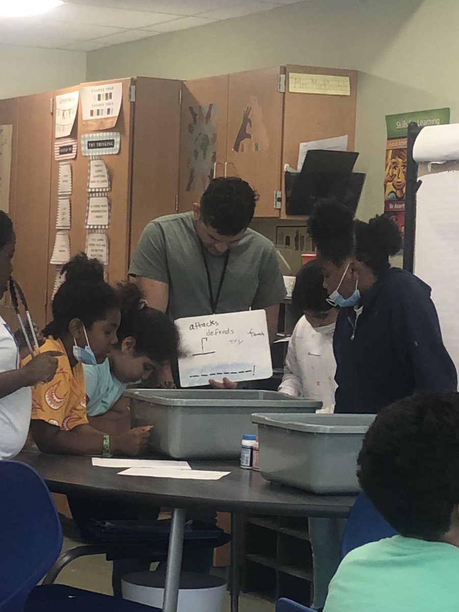 3rdgradesweet's tweet photo. 3rd graders loving our crayfish unit! 🦞 💯 engagement, discussion , observations, questioning and a bonus is Ss are facing their fears which is a great connection to our fairytale unit also! 👍😊⁦@Bellevue_El⁩ ⁦@SCSDScience⁩ https://t.co/D1MWV8l21e