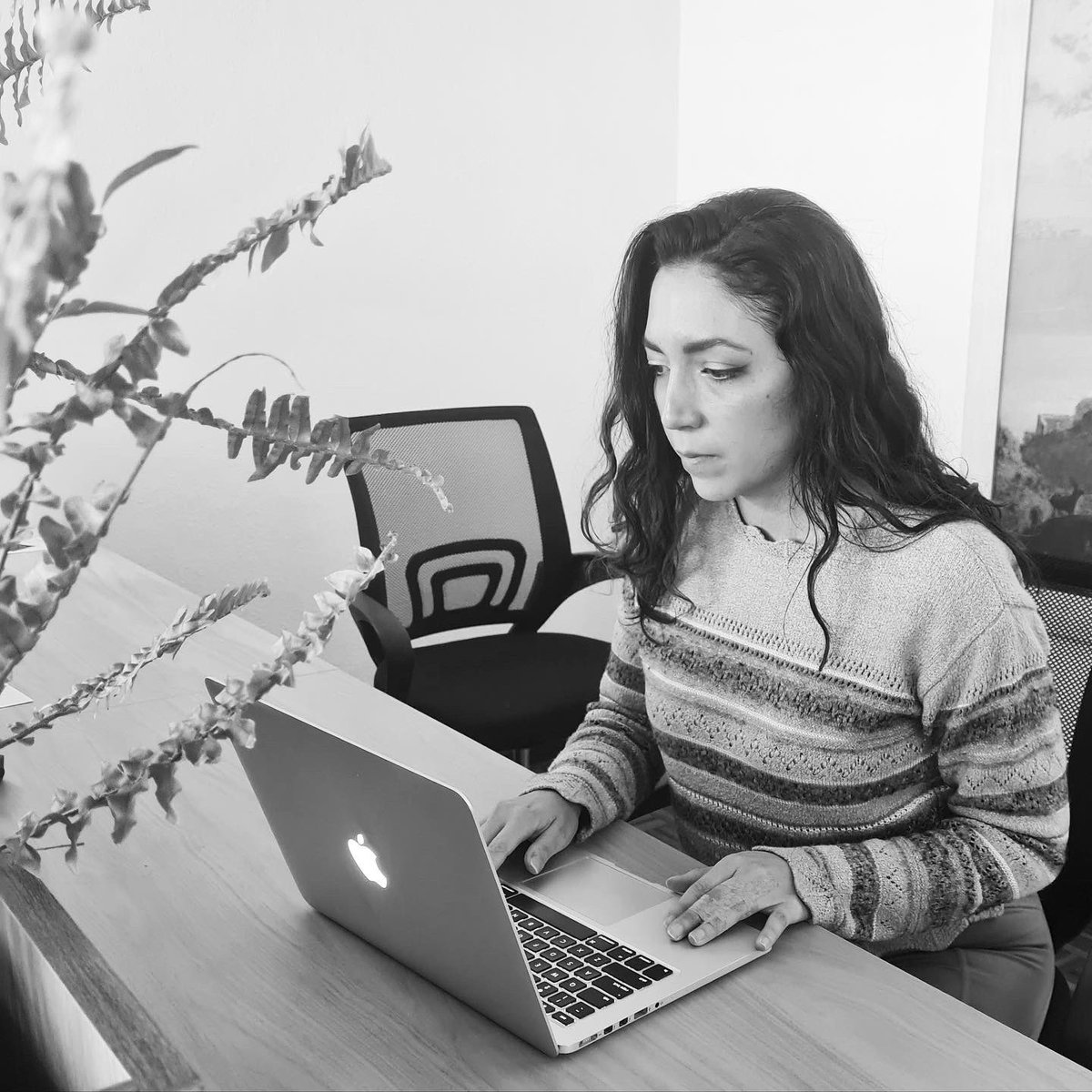 ROMPglobal tweet media