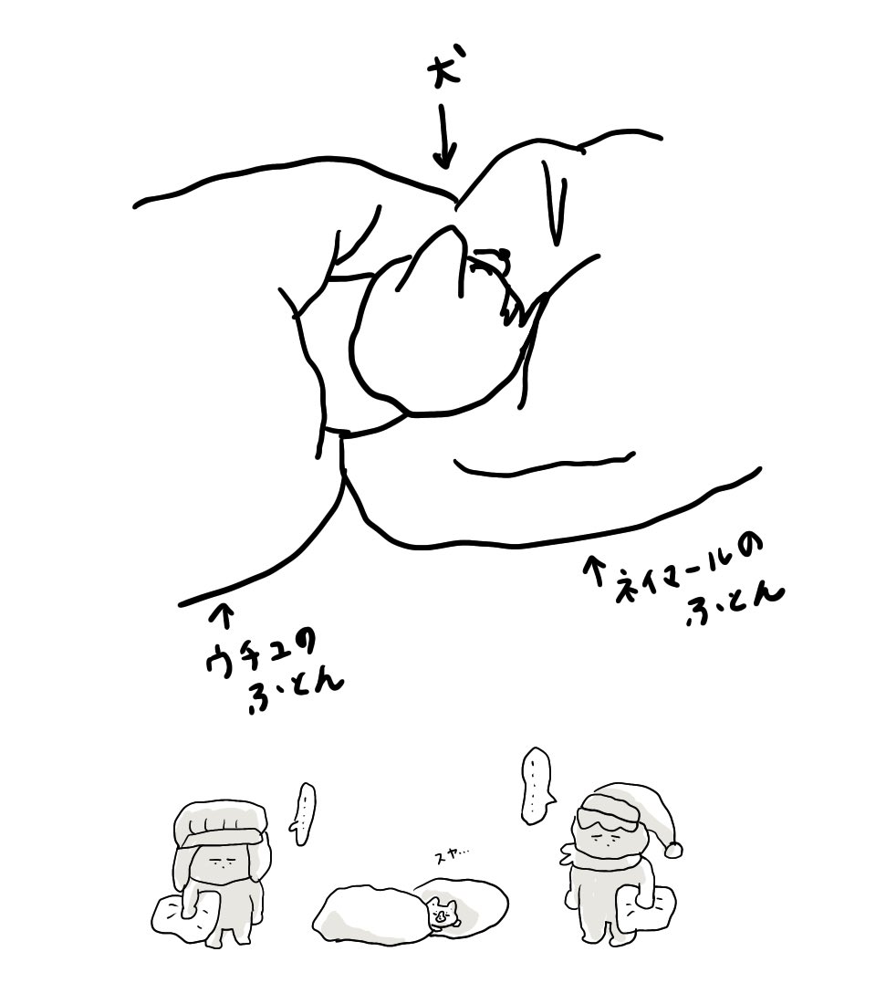 1枚目:夜の犬 2枚目:今の犬 
