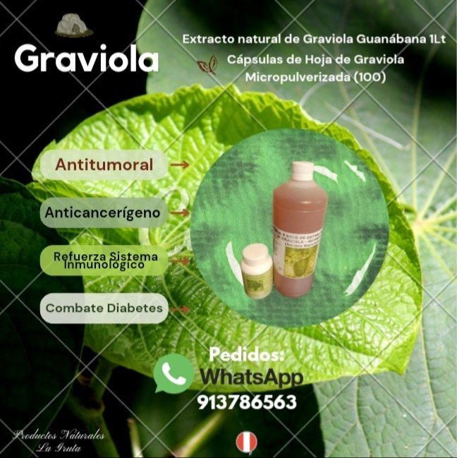 eviponciano's tweet photo. @productosgruta
Extracto de Graviola🌿
Precio S/30.00
Cápsulas de Hoja de Graviola Micropulverizada (100)
Precio: 25.00 
Pack de 1 Mes: 4 Extractos +2 Capsulas Precio 170 Soles
Pago en Efectivo, con Yape, transferencia BCP
🛍️Pedidos :913786563
🛵Servicio Delivery a toda Lima https://t.co/fd53kFBFiR