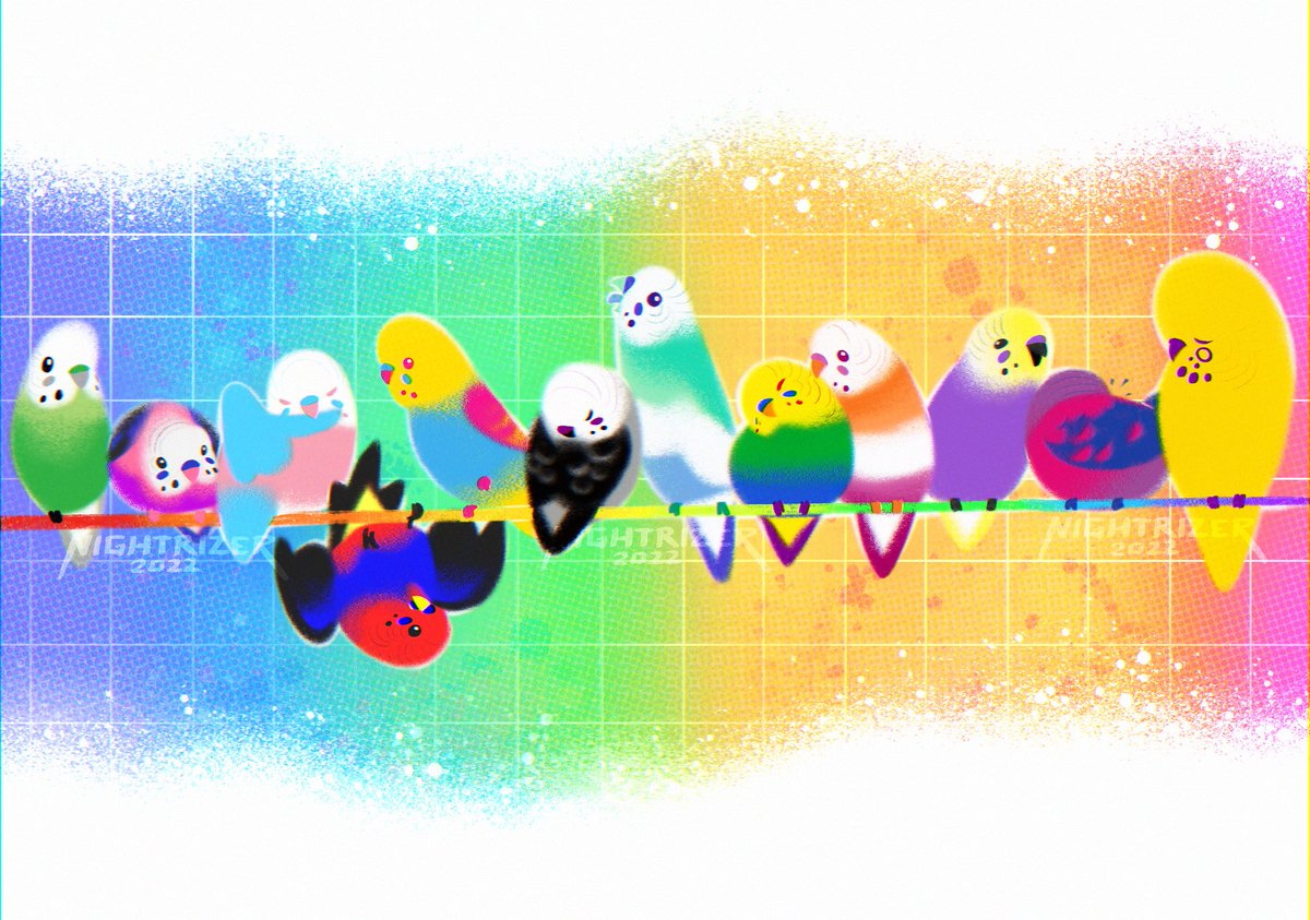Pride Budgies! ❤️🧡💛💚💙💜🦜