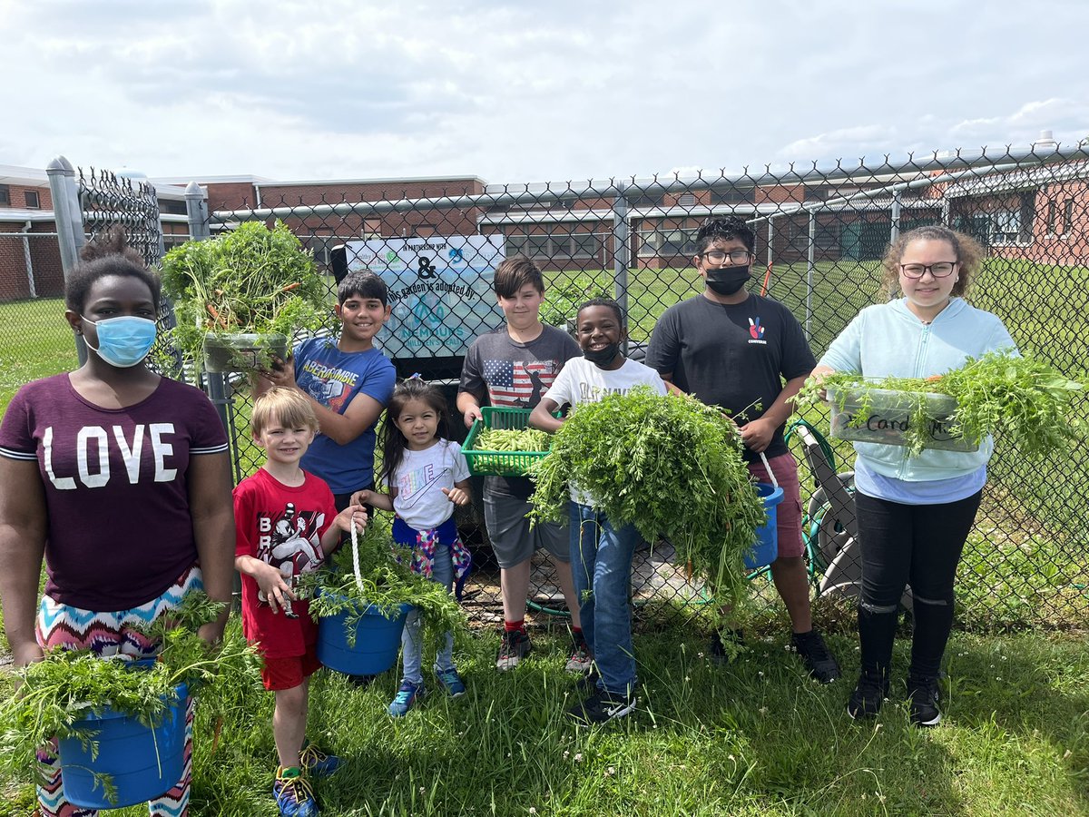 KiseCrew's tweet photo. @HealthyFoodsDE @cddolphins peas and 🥕!@ColonialSDstrct https://t.co/SuCT4eS86M