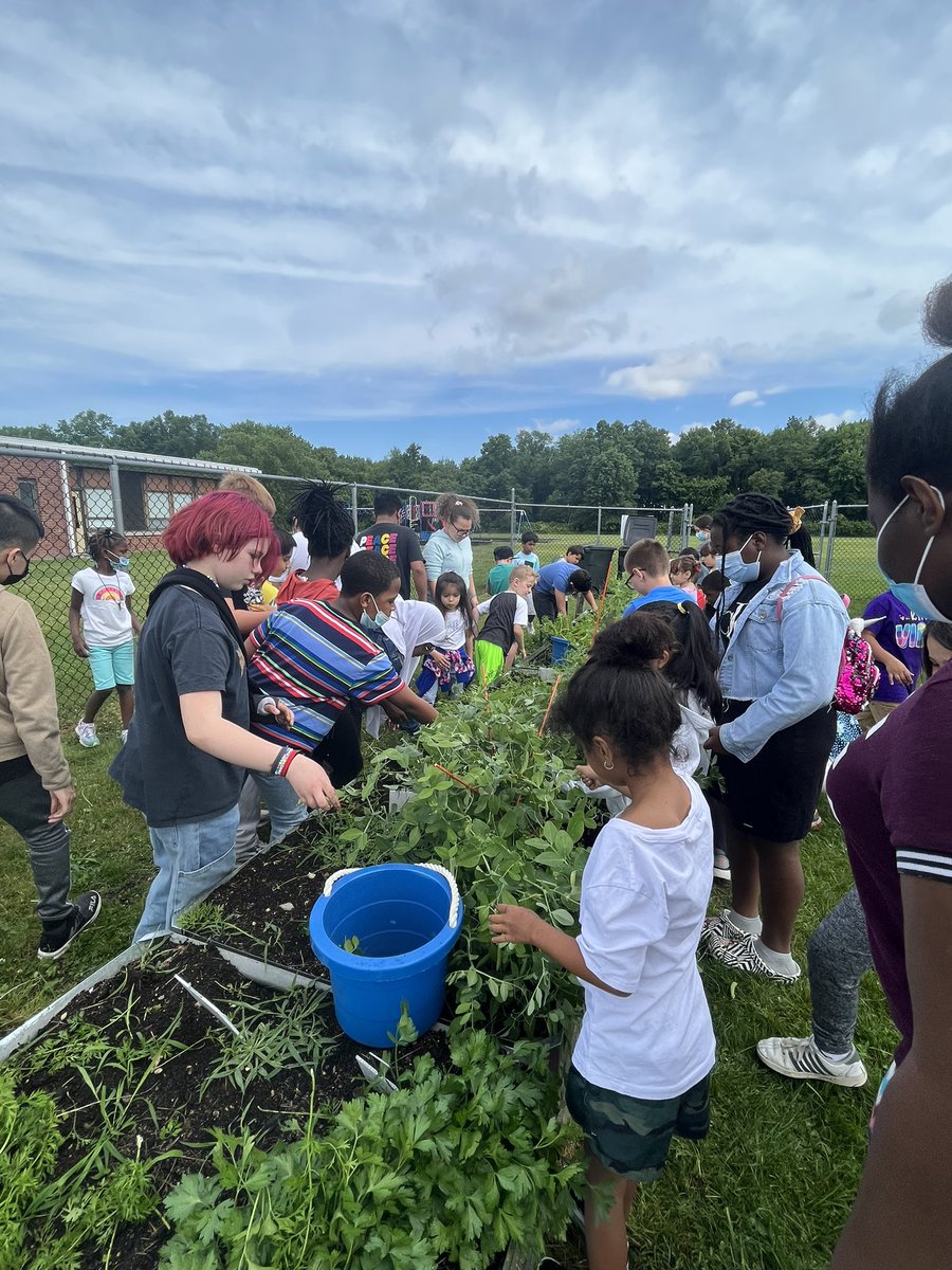 KiseCrew's tweet photo. @HealthyFoodsDE @cddolphins peas and 🥕!@ColonialSDstrct https://t.co/SuCT4eS86M