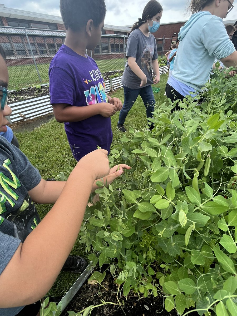 KiseCrew's tweet photo. @cddolphins peas and 🥕!@ColonialSDstrct @HealthyFoodsDE https://t.co/wwMYTi5cvv