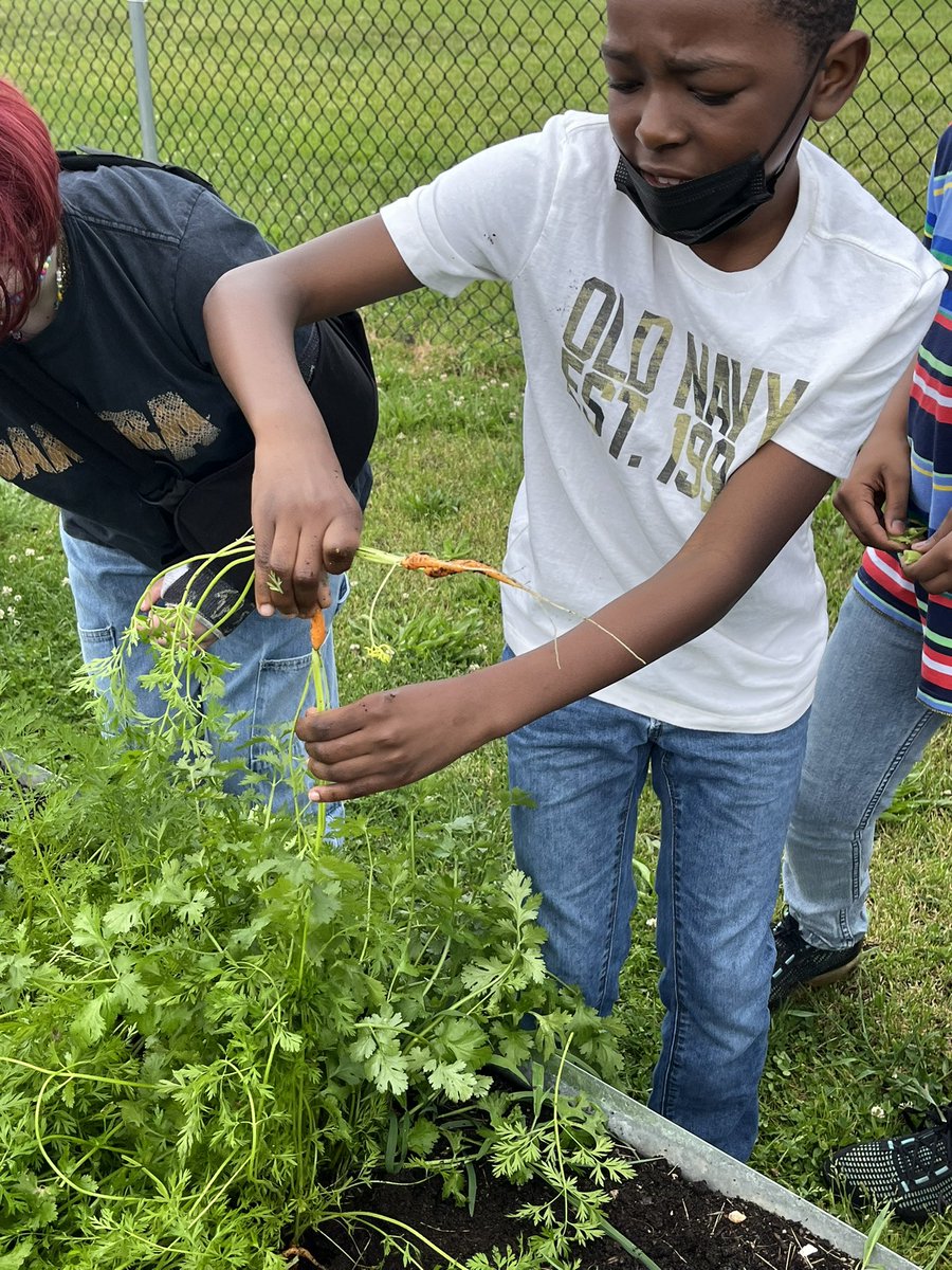 KiseCrew's tweet photo. @cddolphins peas and 🥕!@ColonialSDstrct @HealthyFoodsDE https://t.co/wwMYTi5cvv