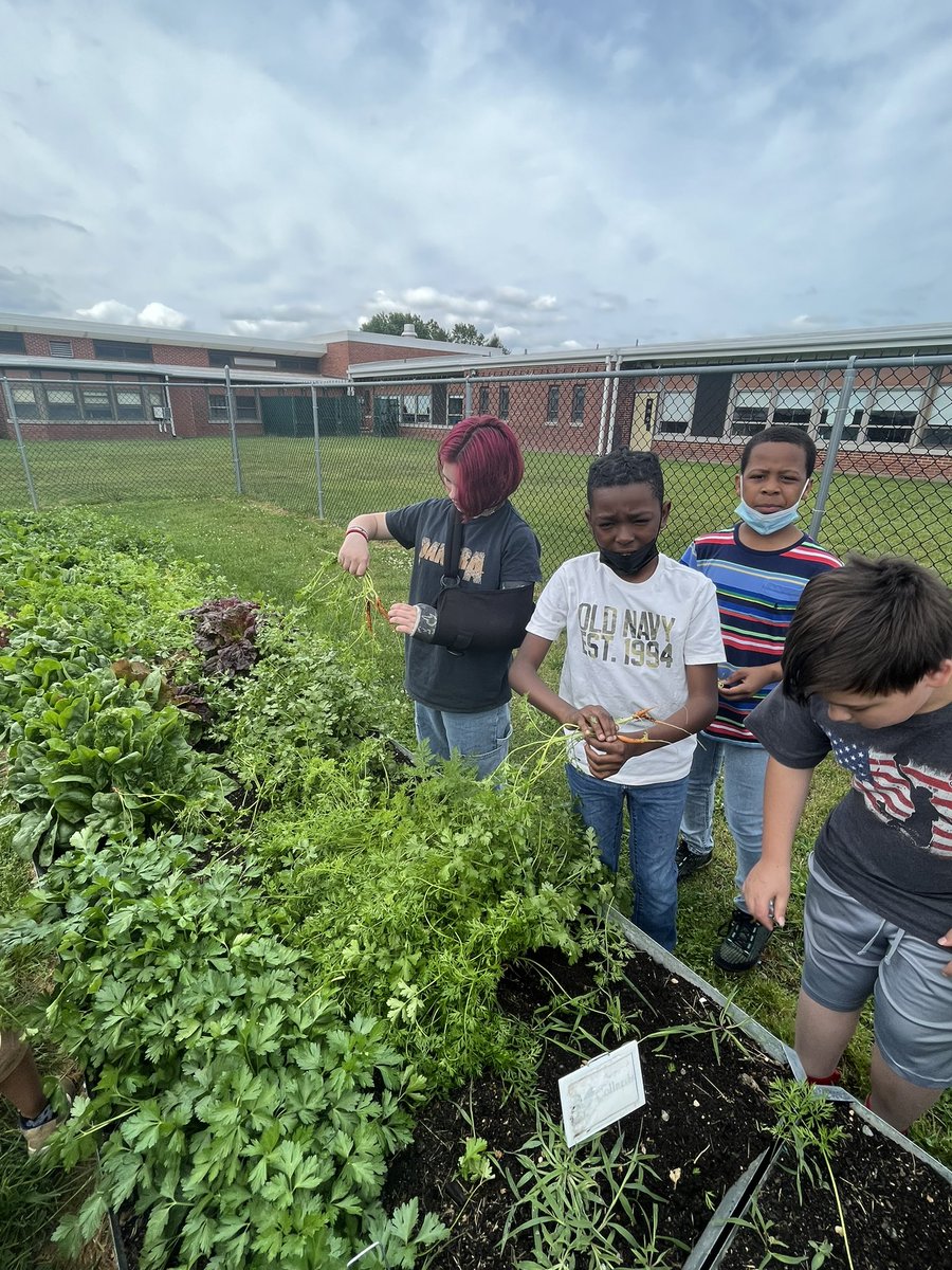 KiseCrew's tweet photo. @cddolphins peas and 🥕!@ColonialSDstrct @HealthyFoodsDE https://t.co/wwMYTi5cvv
