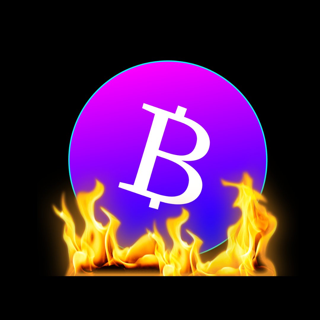 CoinBukele's tweet photo. La quema del 50% del suministro se hará en pocos minutos.

#BSC #BNB #Binance #Bukelecoin #BukelecoinARMY https://t.co/Lnoh5JD729