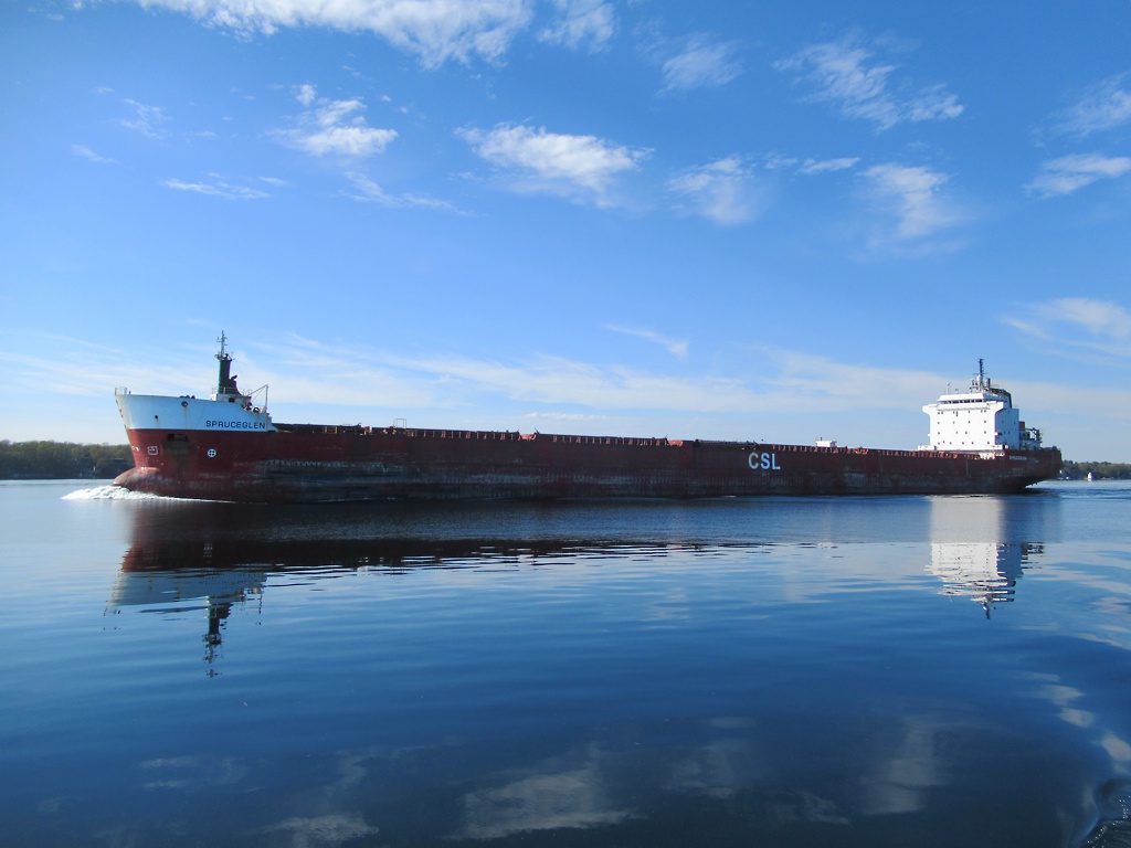 The 222-meter bulk carrier Spruceglen of the Canada Steamship Lines, transports grain along the St. Lawrence Seaway to Montreal and Quebec City. #Spruceglen #CanadaSteamshipLines #StLawrenceSeaway #Montreal