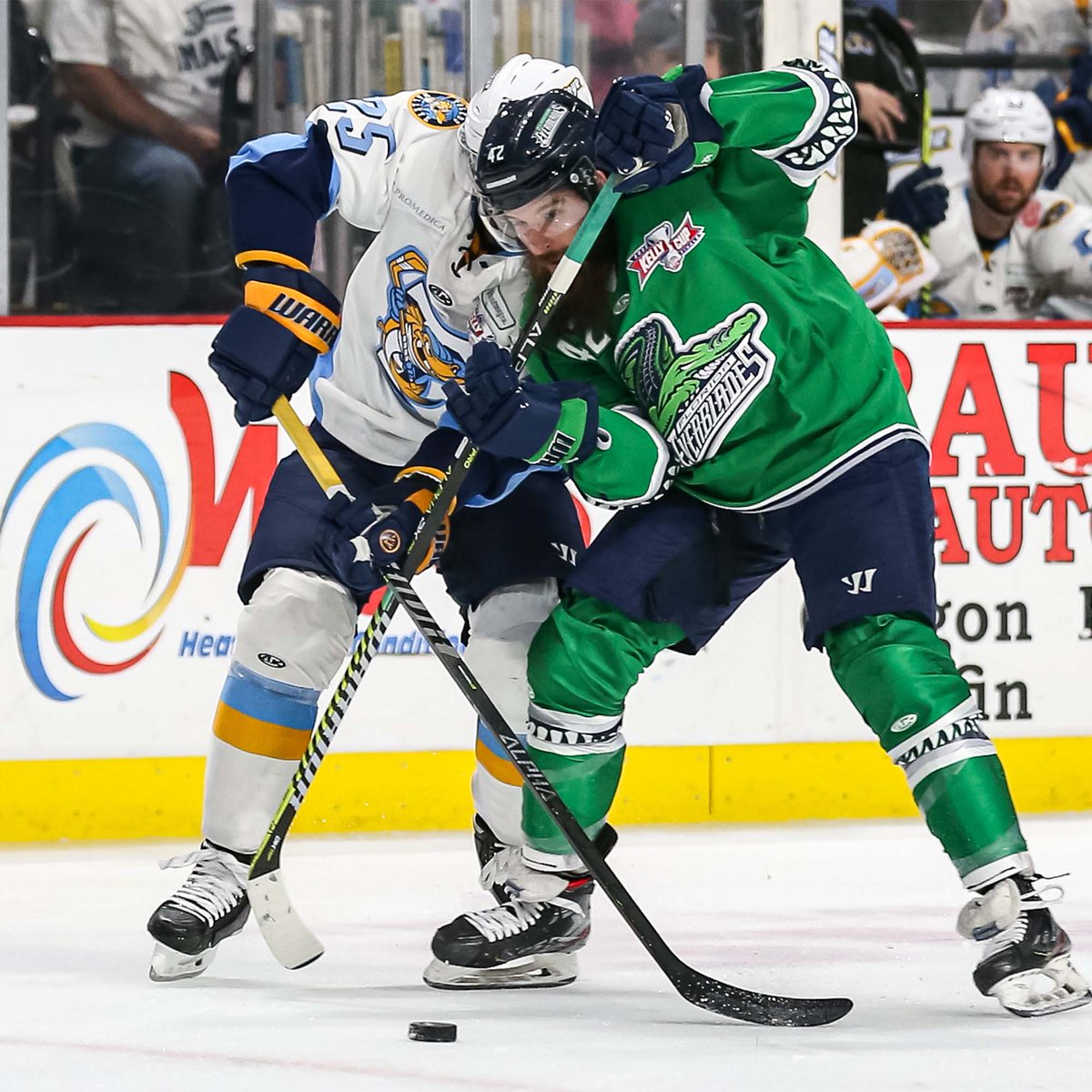Florida Everblades tweet media