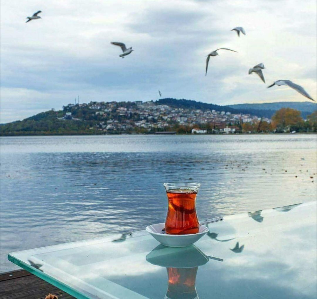 كم يسكن القلب أقوام وإن غابوا
بعض الغيابِ حضور في مشاعرنا