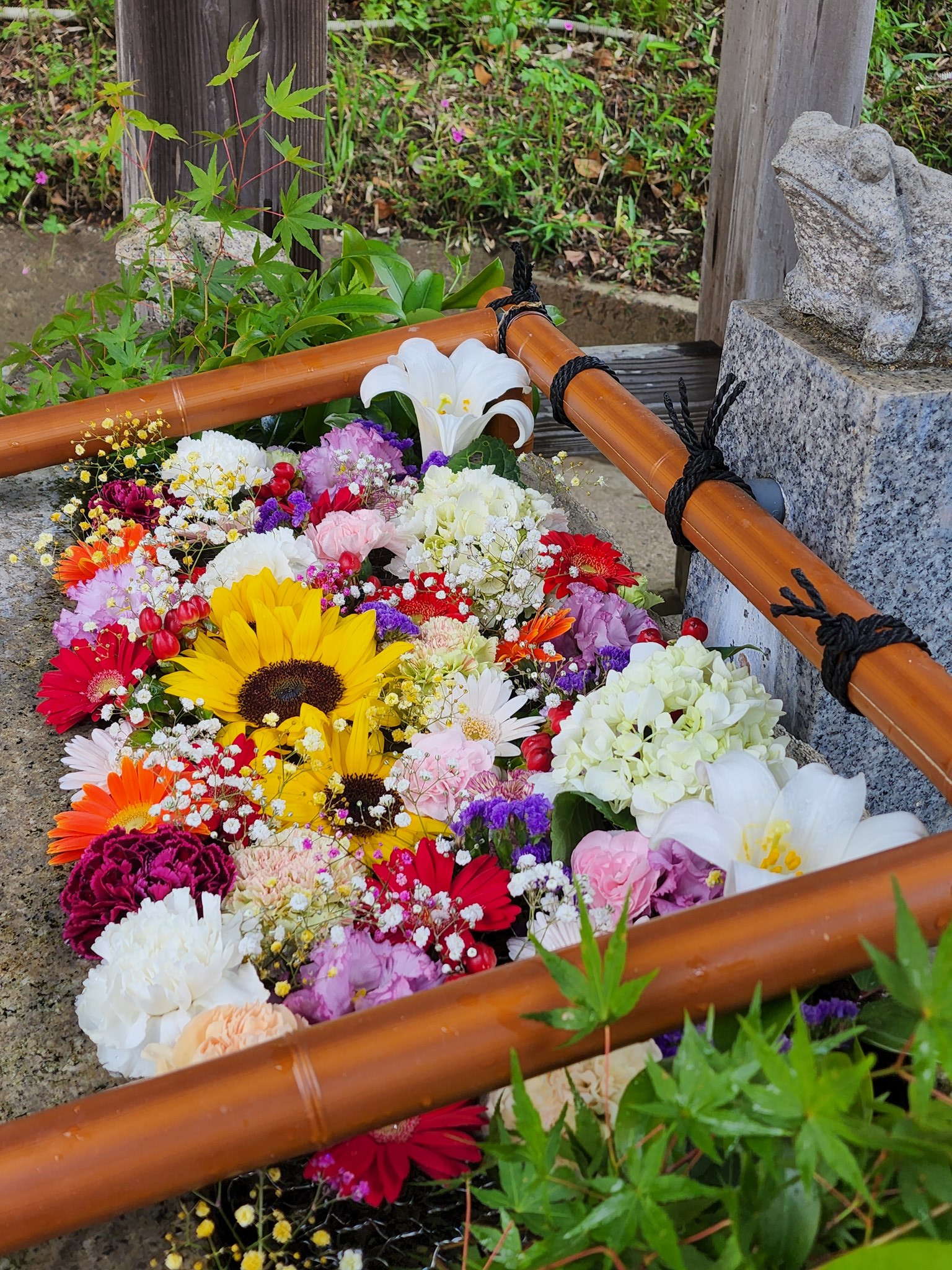 田間神社 公式 Ta Ma Jinja Twitter