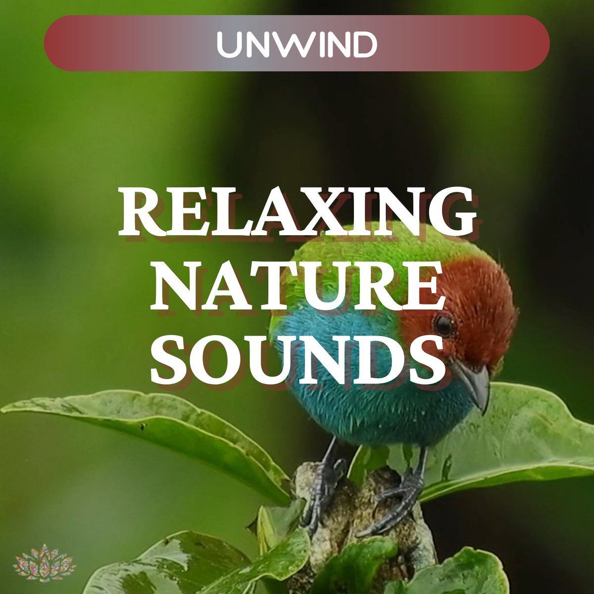InnerPeaceThpy's tweet image. Relaxing Nature Sounds 🐦🐝🌳

👇👇👇
youtube.com/watch?v=z8lLnq…

#innerpeacesoundtherapy #innerpeacesoundthpy #innerpeacethpy #relaxation #meditation #sleep #nature #musictherapy #soundtherapy #tinnitustherapy #music #sounds #Youtube #tinnitus #bodyrelaxation  #weekend
