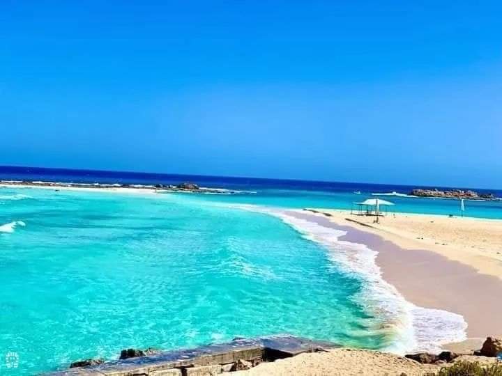 شاطئ باجوش بمرسى مطروح 🌊
يعتبر من أجمل الشواطئ الموجودة في مطروح 🇪🇬 https://t.co/SEPtMi4kCw