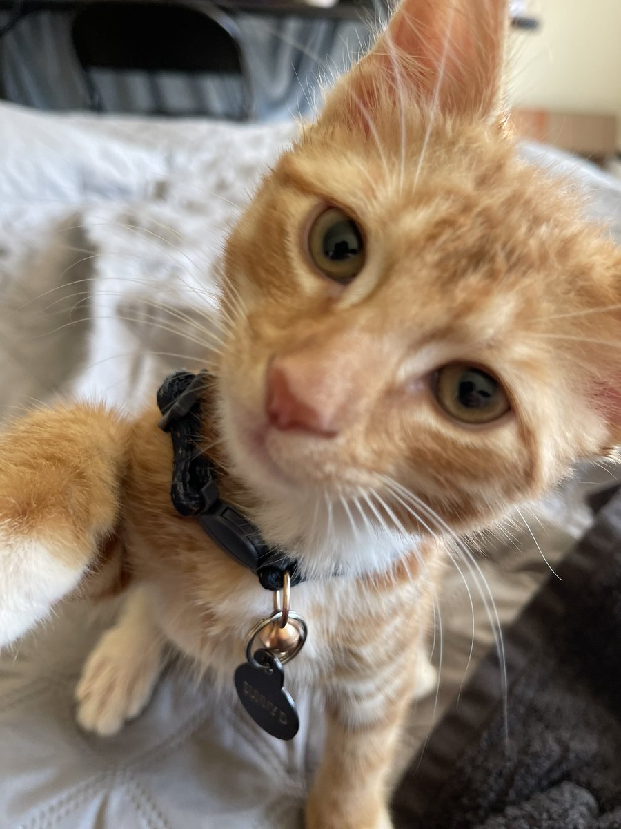Cat5PooStorm's tweet photo. Hmm https://t.co/eIKHITMpTu