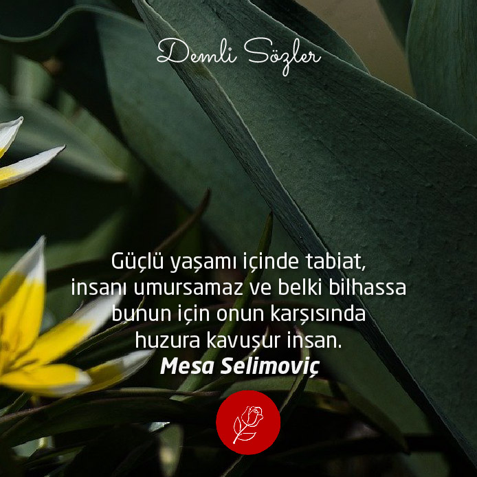 demlisozler.com/soz/guclu-yasa…