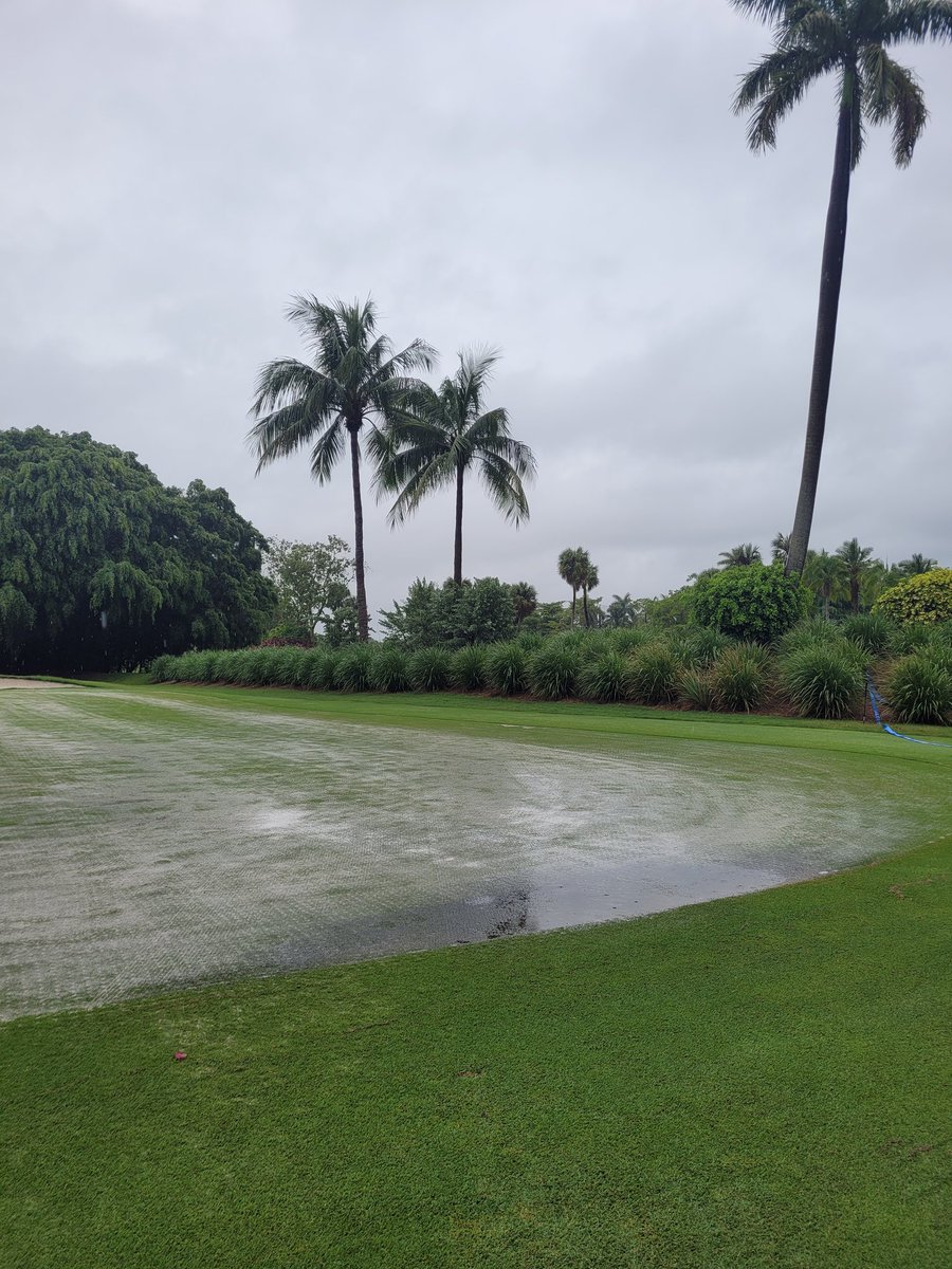 RushoGCM's tweet photo. Put an extra 3 cubic yards of 304 sand down before probably y 3 to 4 inches of steady tropical rain? Also 10# of gypsum for a good flush yesterday. #usingnature https://t.co/KfNlut0UZD