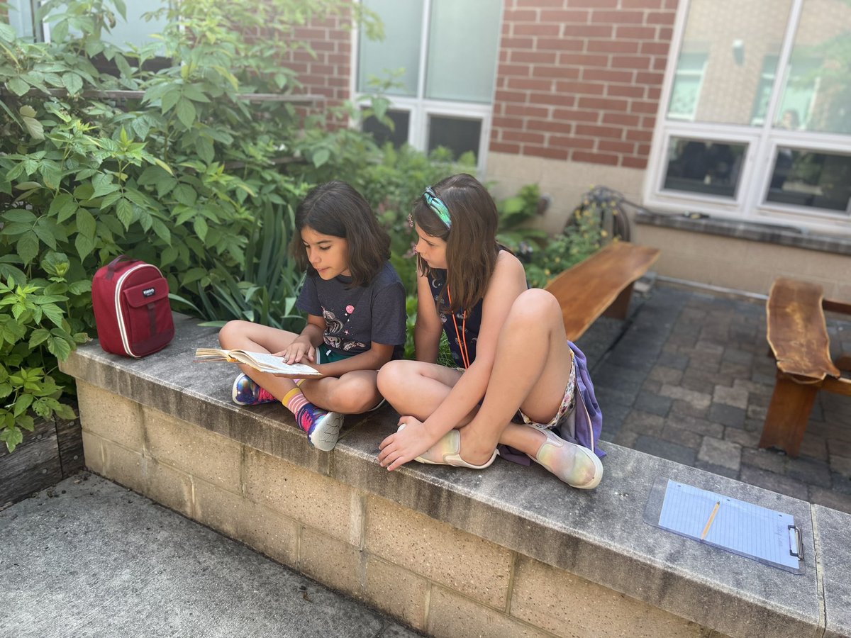 Nizama Dervisevic Shearer tweet media