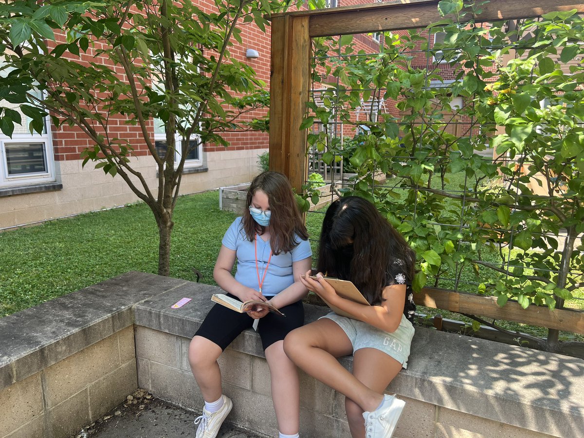 Nizama Dervisevic Shearer tweet media