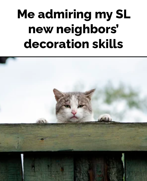 #SecondLife✨𝓤Ⓝ𝐢𝕢𝕦𝒆ⓝｅŞ𝔰✨

#MadPeaverse fun