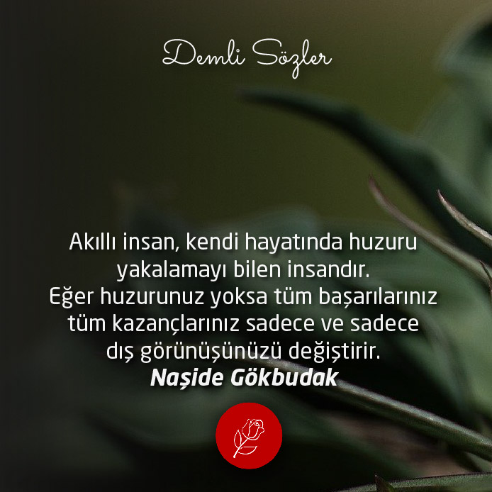 demlisozler.com/soz/akilli-ins…