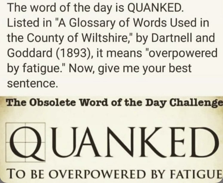 TVdonyoung's tweet image. That kind of week. 

#PerfectWord #Quanked