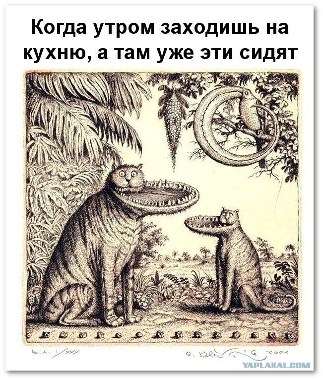 Дмитрий (Волос) tweet media