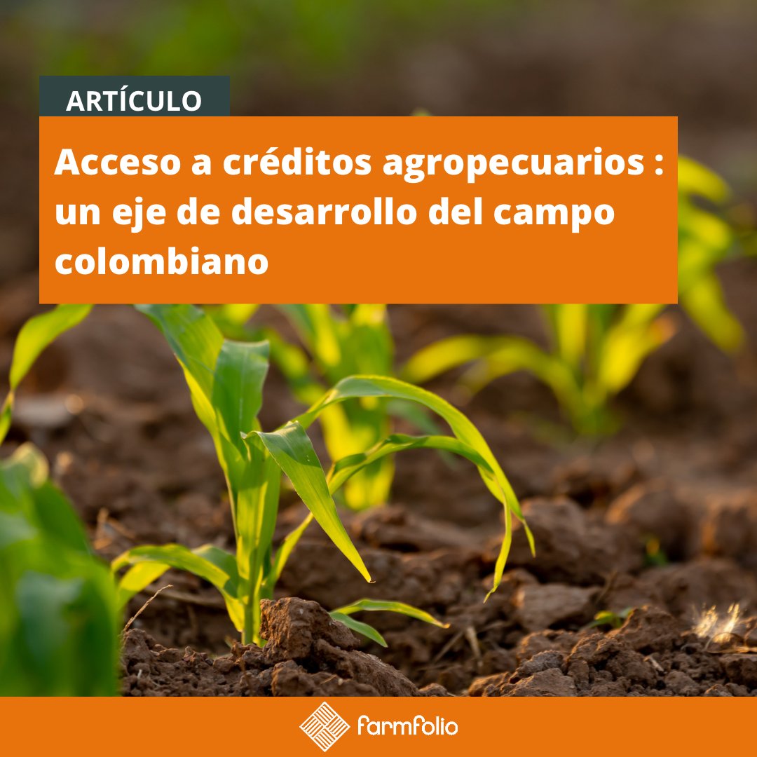 farmfoliocol's tweet photo. El acceso a #créditos es una herramienta esencial para que pequeños, medianos y grandes actores del sector agropecuario puedan financiar sus proyectos y obtener un mayor provecho y rendimiento de estos.
https://t.co/lpVHFU1DJ7 https://t.co/7Rrsgfv9LU