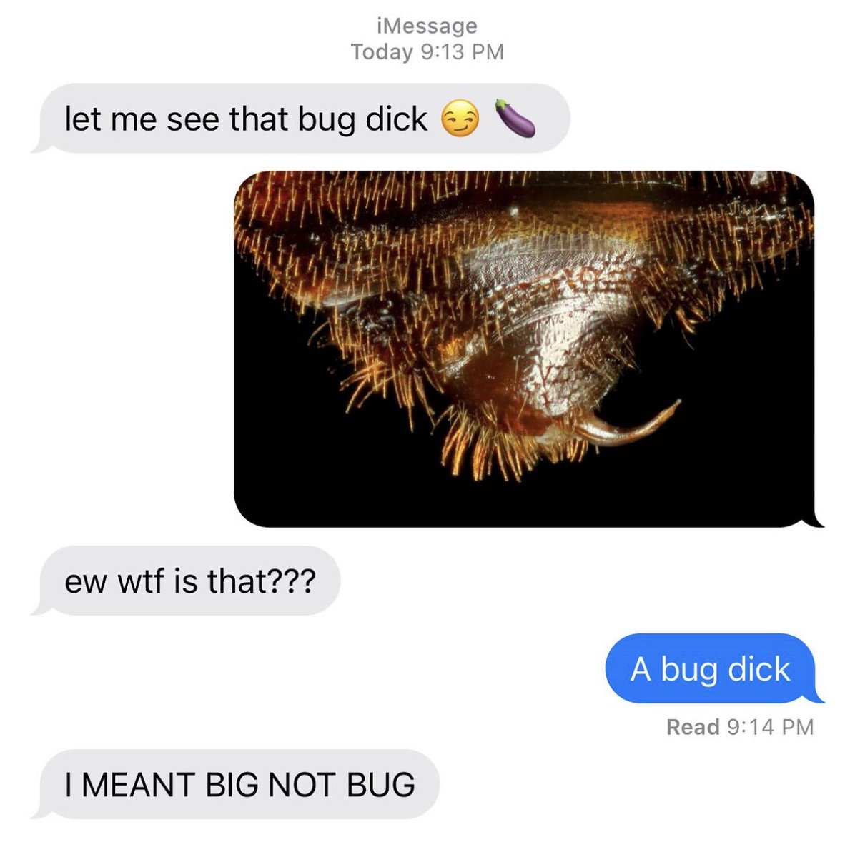 BugsDoing's tweet photo. https://t.co/bLcD16sFqn