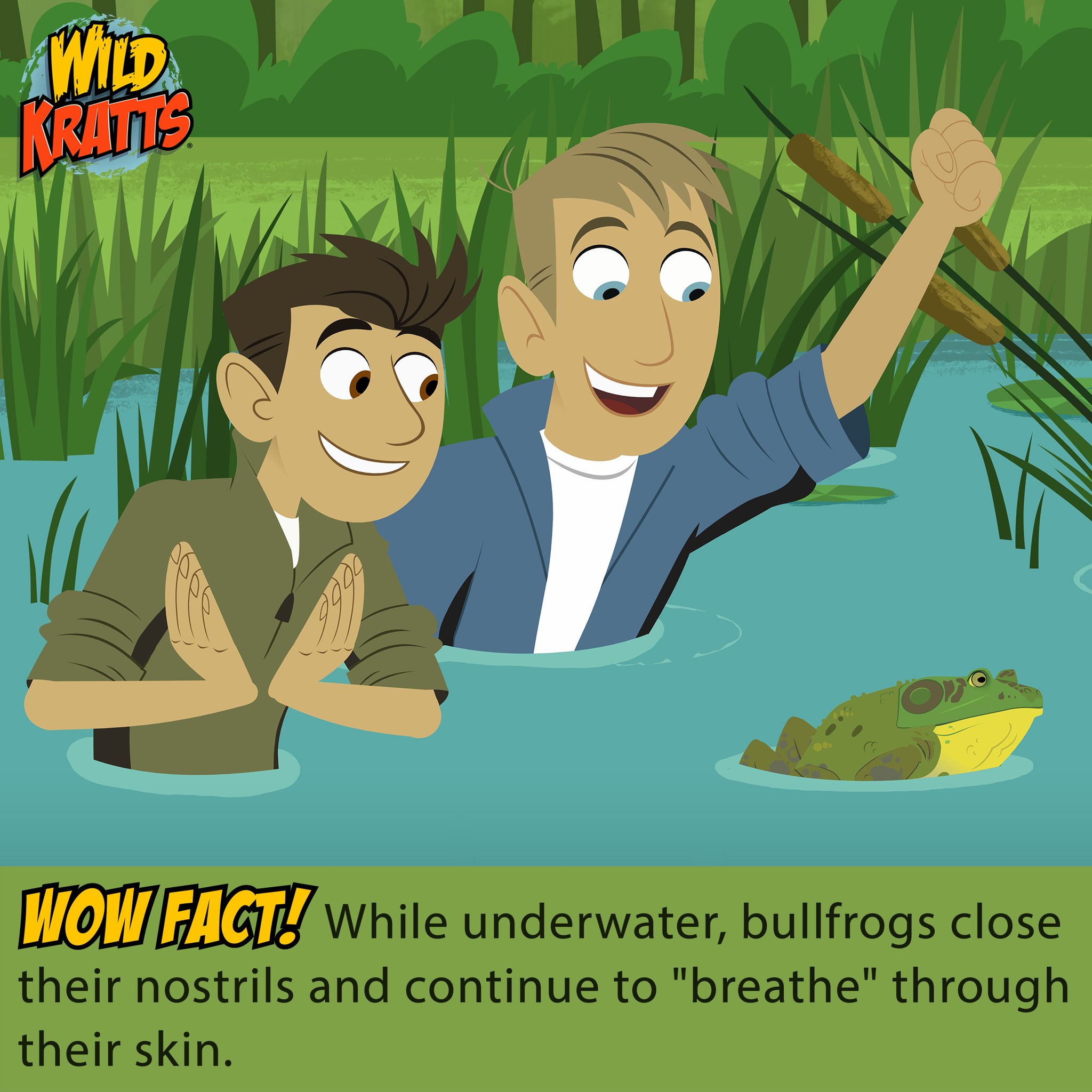 Wild Kratts on Twitter "Introducing North America's largest native