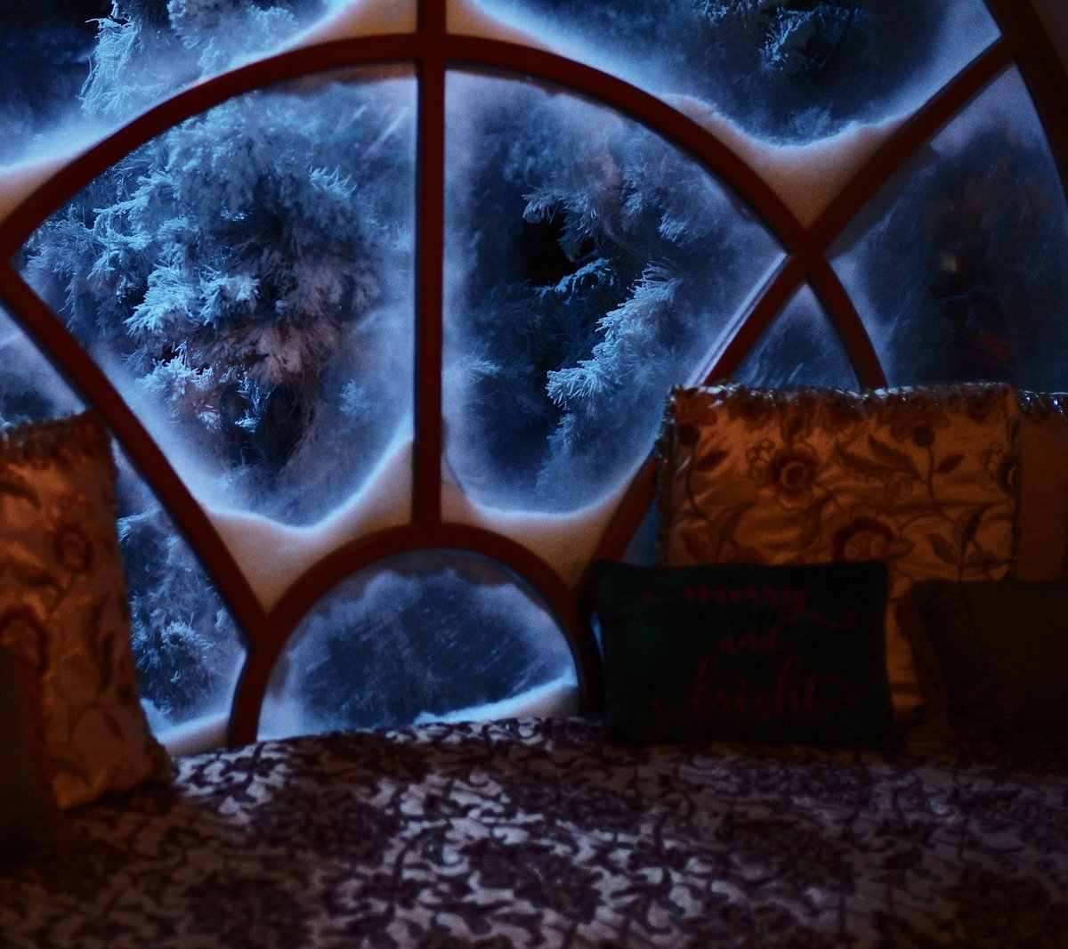 Tim Allen tweet media