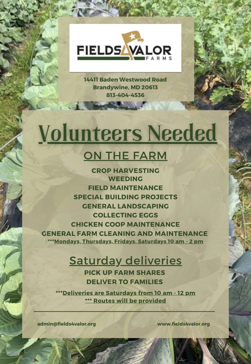 fields4valor's tweet image. Yes, shares are starting TOMORROW, June 4!! We are still looking for volunteers to deliver shares to our families in the weeks to come! On farm opportunities for are available, too. Contact us today! #fields4valorfarms #vetsgrowgood #fields4valor