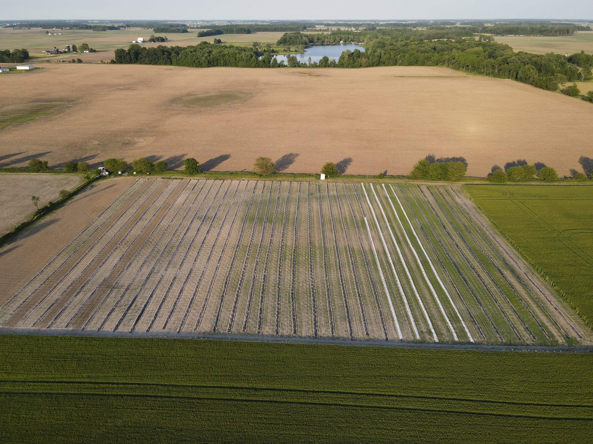 EdithRoseCo's tweet photo. The views 😍 We are one of the few lucky CBD companies that grows our own hemp! Check out https://t.co/g8hBLXmTZW to view our full catalog and use the promo code in bio for 20% off all online purchases! #hemp #farming #promotion #PromoCode #indiana #Sales #delta8 #CBD https://t.co/p7nTpy1zgM