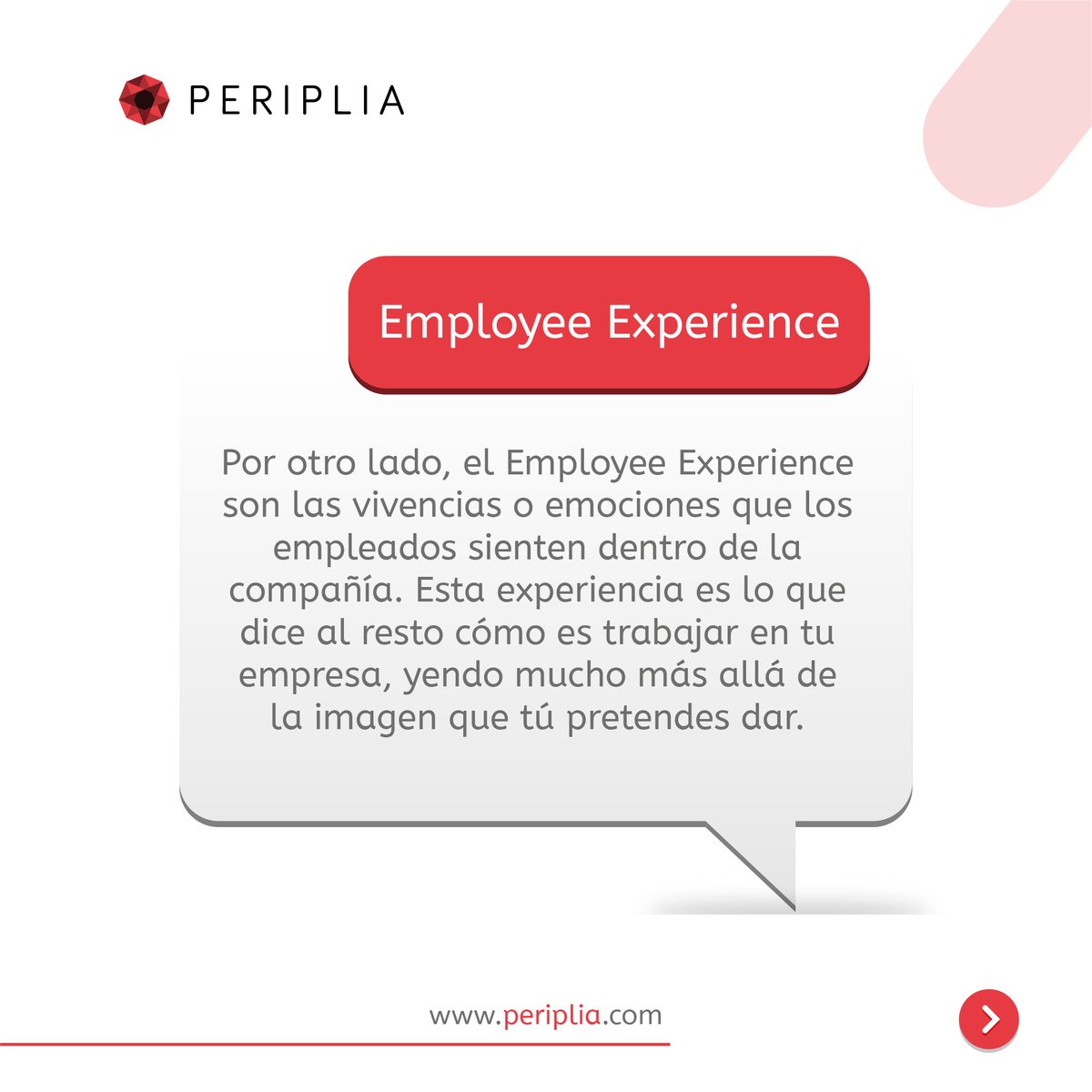 Periplia tweet media