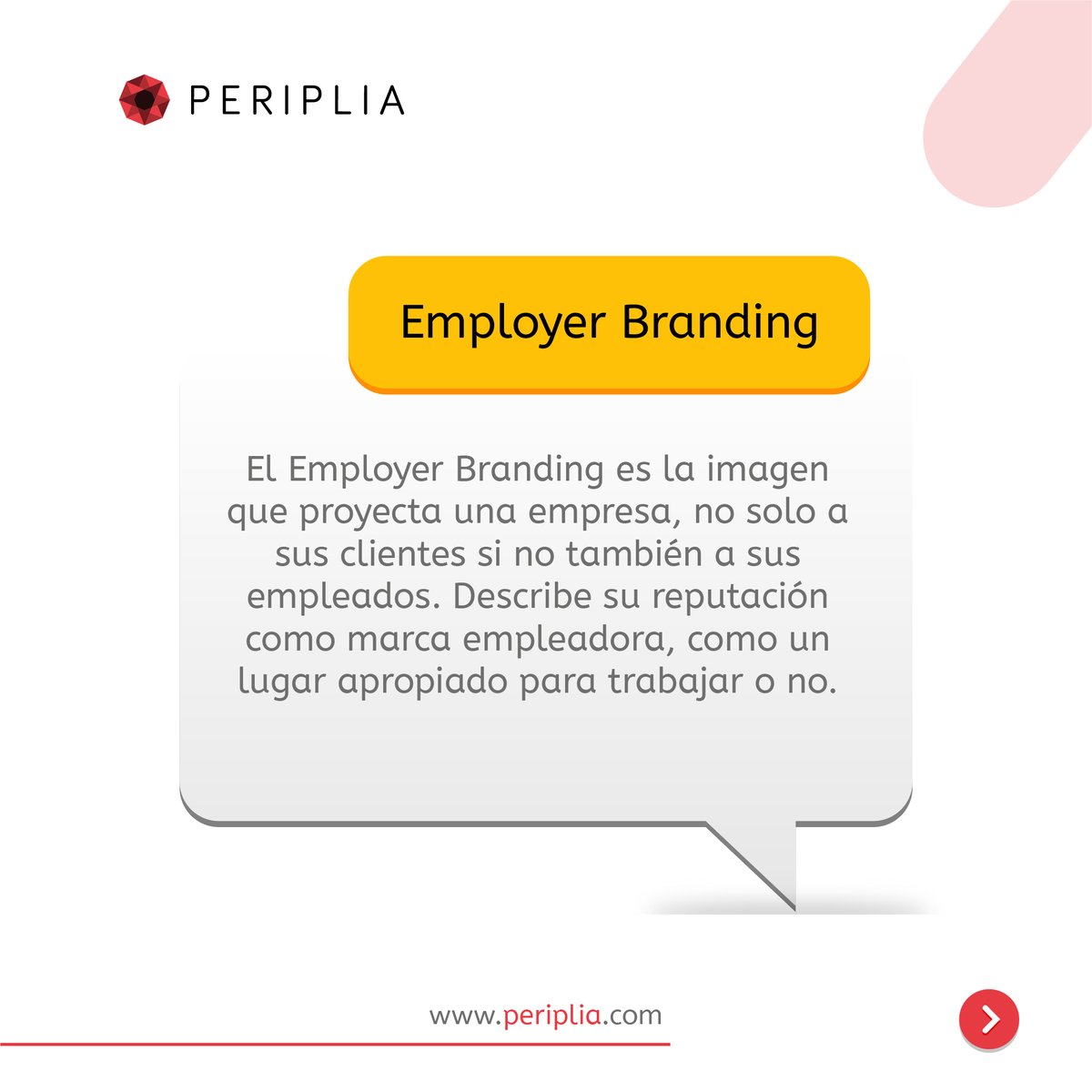 Periplia tweet media