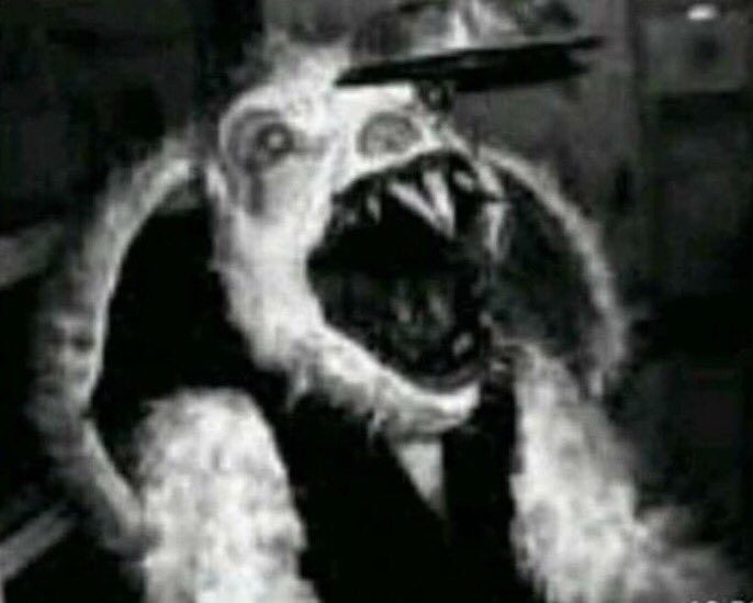 DanielB01965777's tweet photo. @livpetersenn @AlbertsStuff NO I AN FUCKING NOT HELP ME HELP ME HELP ME Ḩ̶̦̖͉͈͇̼̟́̃͂͌̆̈́͂͜ͅḚ̷̢̥͎̲̽͂̇̔͗́̎͂́́̔͒̎͜L̴̡̛̪̪̱̦̹͎̀͆͛͊̓̉̏͂̀̏̊͐͜P̸̢̛̻̙̻̺̮̣͇͙̭̋͌́̒͆̆̈́̽́͜͝ ̸̢̢̫͔͙͔̹̯̲̄̋̅́͊̽͌̽̕̕ͅͅM̸̹̗͍̦͍̫̗̖̎̽͜͜Ę̶̢̱̟̟̥̯͇͔̞̝͔̙̝́̎̓̀̅̑̌̅͒̿̋͒̕ https://t.co/dpPzDxZU6o