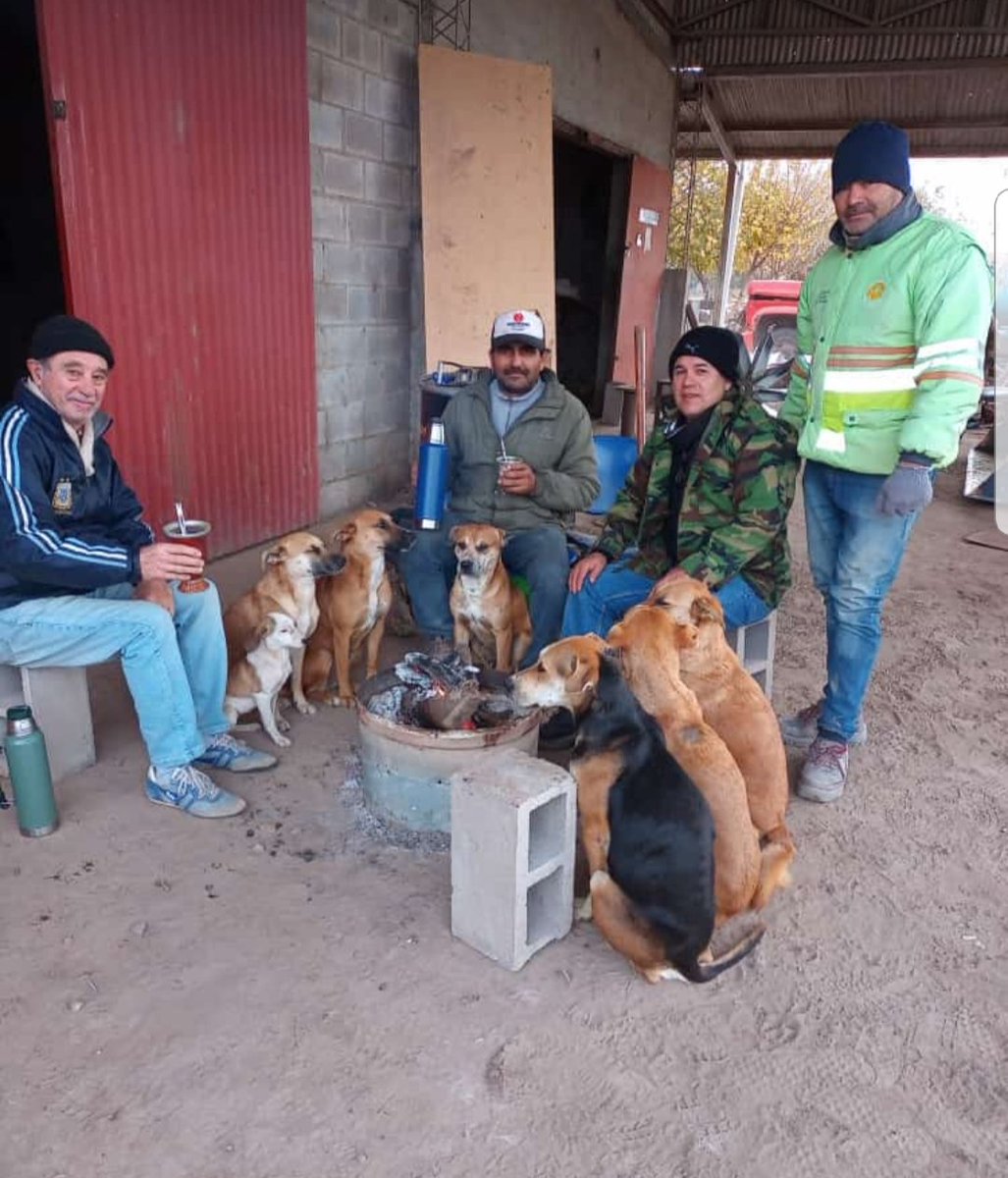 milca_dalila's tweet photo. Mi papá  con sus compañeros de trabajo... y unos señores https://t.co/hWxaroQ7r7