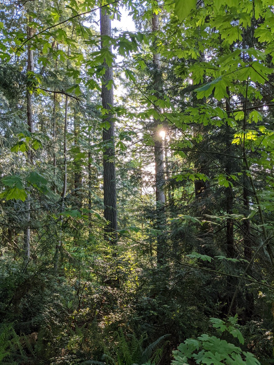 FinnExplores tweet media