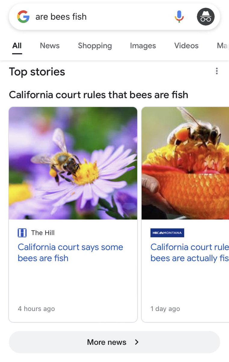 svartho's tweet photo. Bees are fish https://t.co/Ue97Vp0X0L