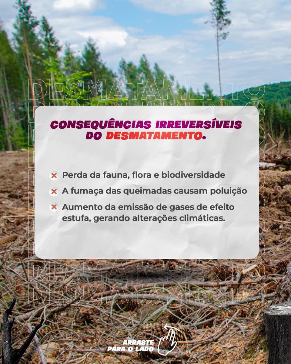 annemouraam's tweet image. Logo, precisamos garantir mais estrutura para que eles possam denunciar de forma rápida e segura qualquer invasão e desmatamento. 🔥

Além disso, é necessário propor políticas públicas que garantam punições mais rigorosas para quem comete crimes ambientais.
 #sosam #desmatamento