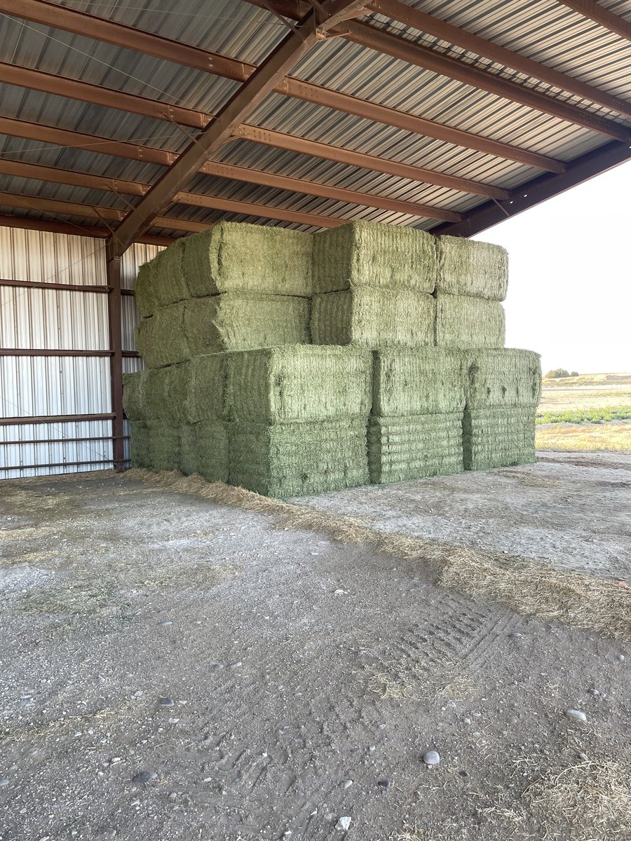 "We steamed some bales this afternoon to beat a storm. Weighed 2050 lbs average. Great hay!" - Drew Thompson out of Holly, Colorado. #hay #Storm