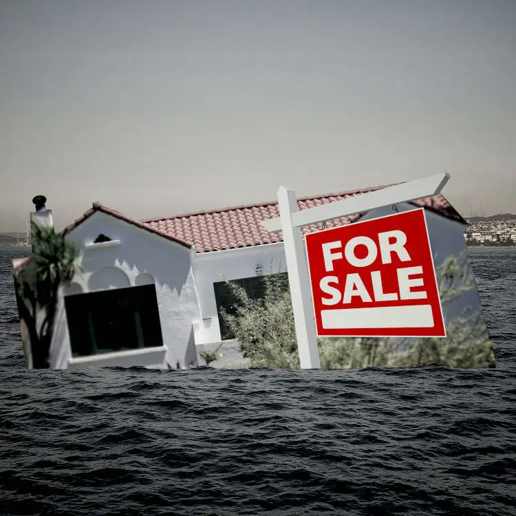 MetaCurrency Project tweet media