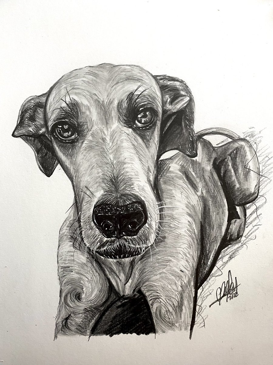 Elandaetart's tweet photo. Eterno Doki🖤 
https://t.co/4sjMFUfIML

#art #dog #painting #sketch #drawing #portrait #animal #artist #worldofartist #tx #dallas #draw #ilustration #venezuelanartist https://t.co/jCWugXB0TP