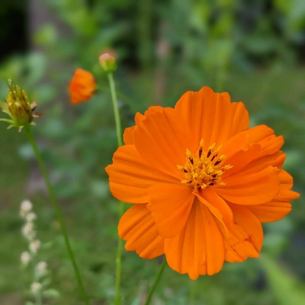 instagr.am/p/CeXDYnhLNx6/