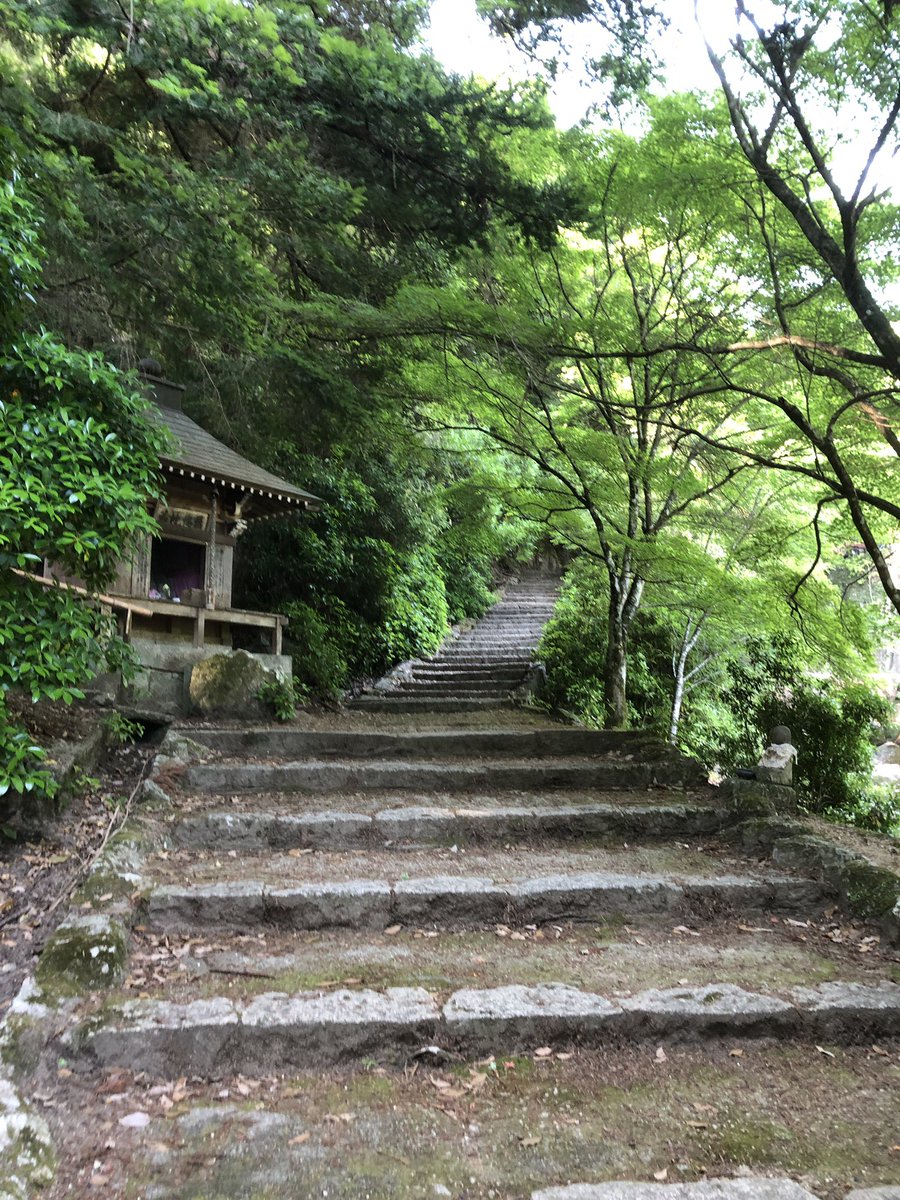 hk529218's tweet photo. 朝から登山！ https://t.co/Ca4HhvnQ0W