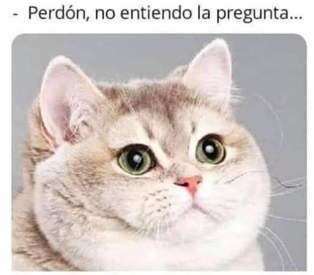 sirgotisa's tweet photo. Hoy me preguntaron ¿Qué te gusta más: ser scrum master o ser dev? https://t.co/RJSP84tSam