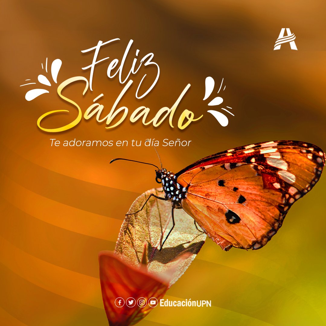 EducacionUPN's tweet photo. ¡Llegó el día más esperado! 🥰
Disfruta este día en la presencia del Señor. #FelizSábado 🤍🤩

📖"Y bendijo Dios al día séptimo, y lo santificó, porque en él reposó de toda la obra que había hecho en la creación." (Génesis 2:3)✨

#EducaciónAdventista #MásQueEnseñanza https://t.co/PB0UxpRMaG