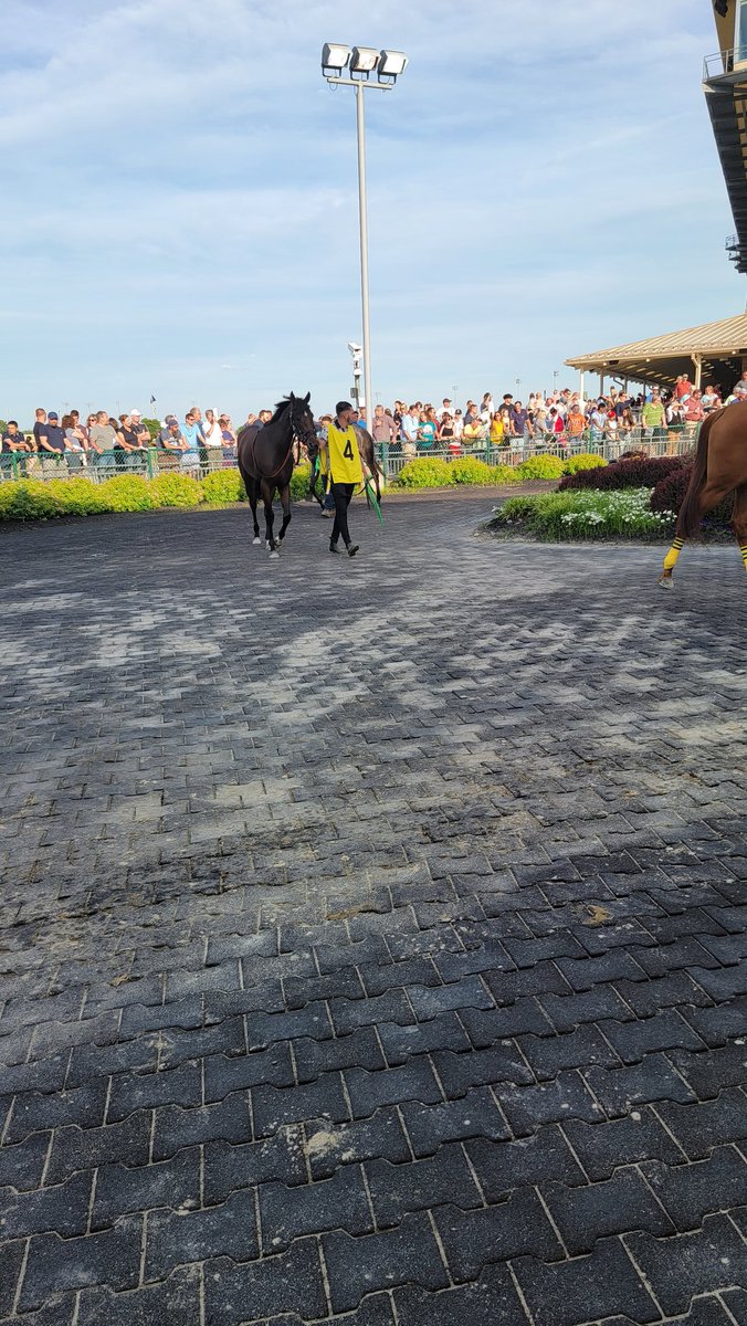 RacingRogers's tweet photo. Penn Oaks up next! #4 Haughty making her return to the races! @HollywoodPenn https://t.co/3pEYct80YC