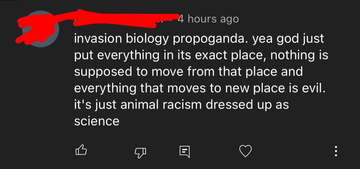 avnj-avnjofficial-twitter