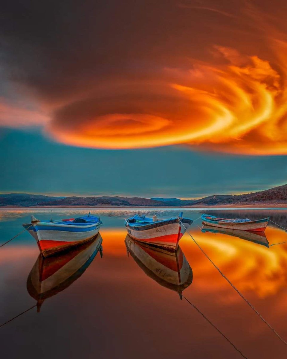 SwaneSsane's tweet photo. Magnifique couleur de vie https://t.co/RCzCWIkT3p